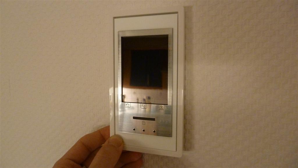 P1030129 (Large).JPG